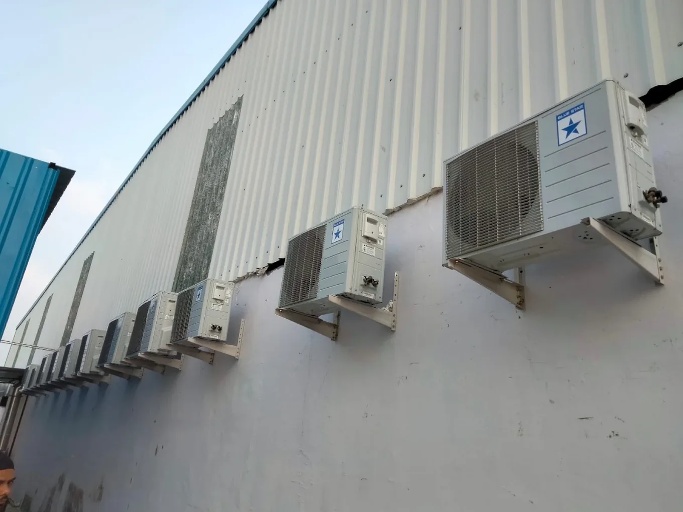 Row of Blue Star outdoor AC units mounted along a building wall